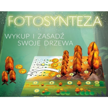 FOTOSYNTEZA